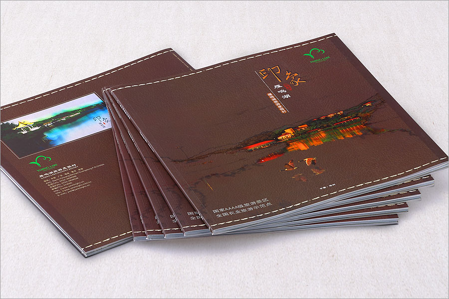 黑眼睛廣告為新版雁鳴湖旅游度假村大型畫冊設(shè)計的封面及封底實(shí)拍效果