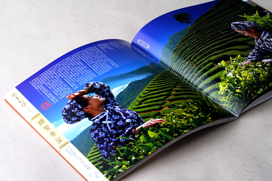 黑眼睛廣告為靈光寺景區(qū)設(shè)計(jì)印刷的大型畫冊之內(nèi)頁展示3